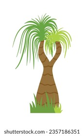 Palm trees isolated on white background. Beautiful vectro palma tree set vector illustration