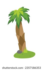 Palm trees isolated on white background. Beautiful vectro palma tree set vector illustration