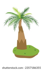Palm trees isolated on white background. Beautiful vectro palma tree set vector illustration