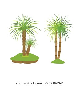 Palm trees isolated on white background. Beautiful vectro palma tree set vector illustration