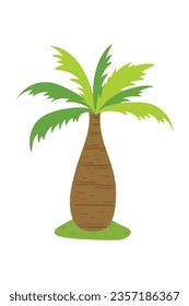 Palm trees isolated on white background. Beautiful vectro palma tree set vector illustration