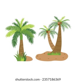 Palm trees isolated on white background. Beautiful vectro palma tree set vector illustration