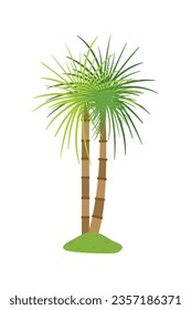 Palm trees isolated on white background. Beautiful vectro palma tree set vector illustration