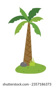 Palm trees isolated on white background. Beautiful vectro palma tree set vector illustration