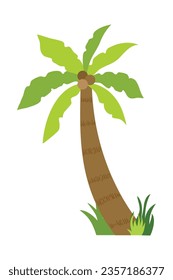 Palm trees isolated on white background. Beautiful vectro palma tree set vector illustration