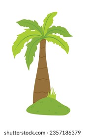 Palm trees isolated on white background. Beautiful vectro palma tree set vector illustration