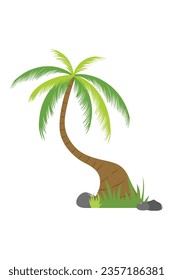 Palm trees isolated on white background. Beautiful vectro palma tree set vector illustration