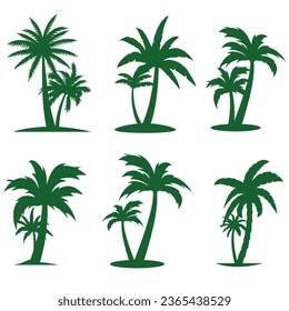 Palm trees isolated on a white background Beautiful Vector palm tree set vector illustration