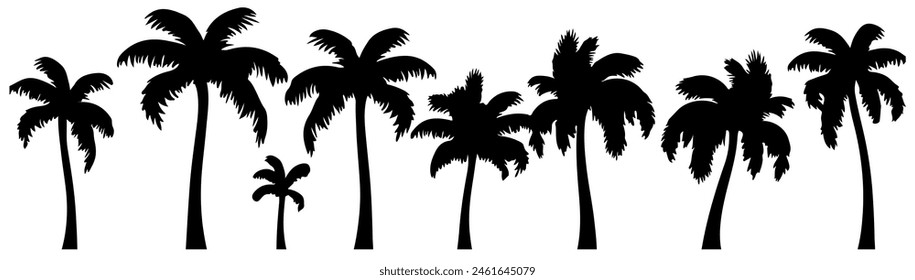 Palmeras aisladas sobre fondo blanco