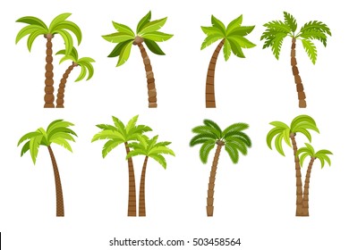 Пальмы изолированы на белом фоне. Красивая вектро пальма дерево набор векторная иллюстрация