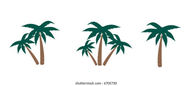 Palm Trees Isolated On White Background