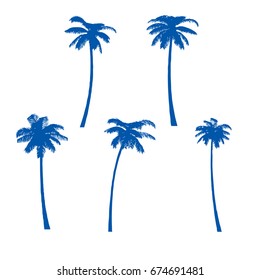 Palm Trees isolated on White Background. Vector illustration