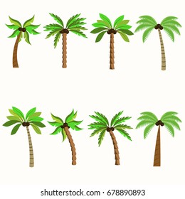 Palm trees isolated on white background.