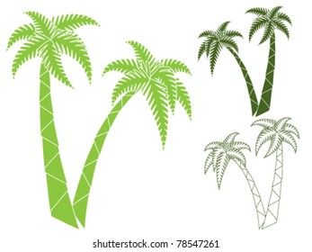 Palm trees isolated on white