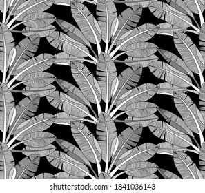 Palm trees jungle vector botanical illustration. Exotical tropical forest leaves foliage seamless pattern.