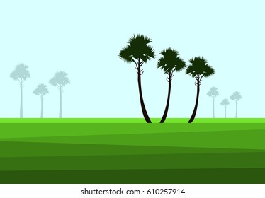 Palm Trees & Landscape - Vector