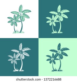 Palm trees and leaves. line silhouette isolated on white and green background. Vector sketch illustration. art