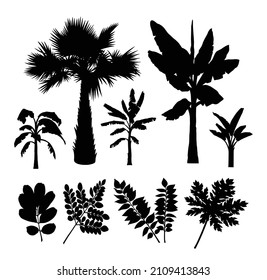Palm trees and leaves silhouette good use for symbol, sign, or icon