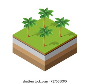 Palm trees natural forest in isometric landscape projection