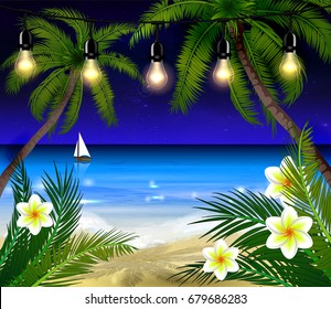 Palm trees at night