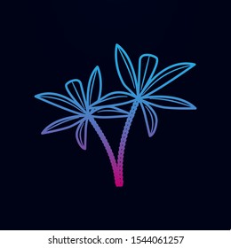 Palm trees nolan icon. Simple thin line, outline vector of arabian icons for ui and ux, website or mobile application