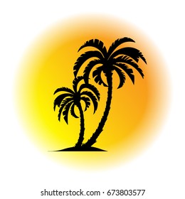 palm trees on the background big sun