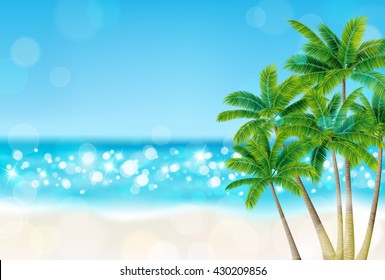 Palm trees on the beach