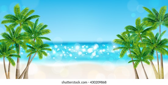 Palm trees on the beach