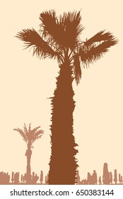 palm trees on the beach