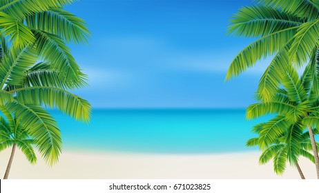 Palm trees on the beach