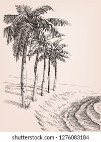 Palm trees on the beach drawing