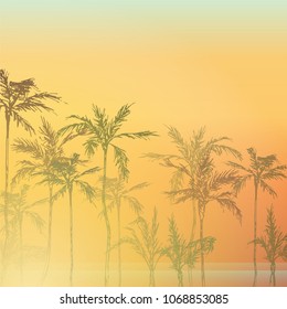 Palm trees on the beach. Palm forest by the sea. Palm trees at sunset near the ocean. Tropical palm trees.