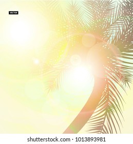 Palm trees on the beautiful sunset background. Realistic vector card. Eps10 print