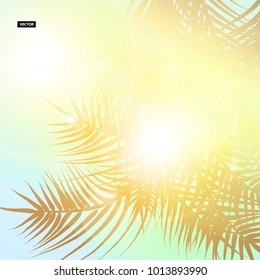 Palm trees on the beautiful sunset background. Realistic vector card. Eps10 print
