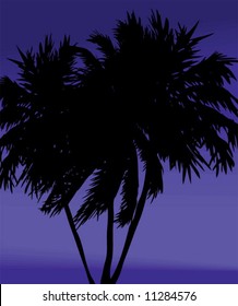 Palm Trees On Blue Background