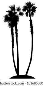 Palm trees on island silhouette vector graphic on white background 