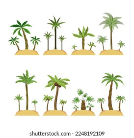 Palm trees on islands vector illustrations set. Collection of cartoon drawings of exotic trees with big leaves and sand isolated on white background. Summer, nature, vacation concept