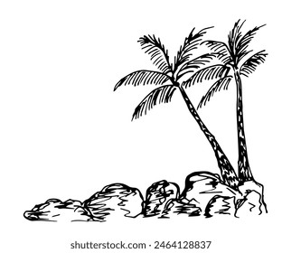 Palm trees on a rocky shore. Landscape, nature, summer holiday. Simple hand drawn vector illustration with black outline. Sketch in ink.