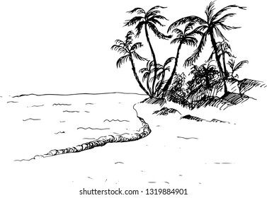 Palm trees on the sea coast. Vector illustration.