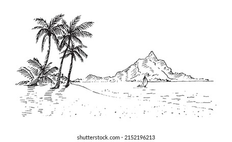 Palm trees on the sea coast. Hand drawn sketch. Perfect for postcard