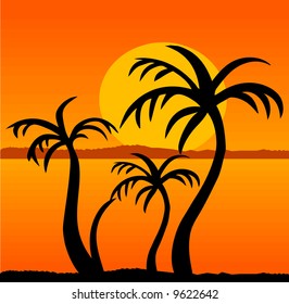 Palm Trees On Sunset