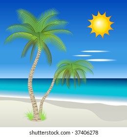 Palm trees on a tropical beach