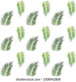 Palm Trees on White Background. Seamless pattern. Vector Illustration. EPS10