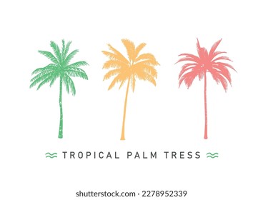 Palm trees  on white background. Beautiful vectro palma tree set vector illustration - Vector