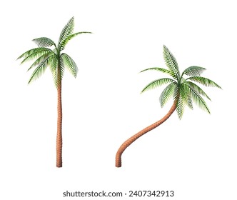 Palm trees on a white background. Vector illustration