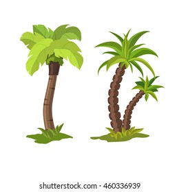 Palm trees on a white background. Vector illustration.