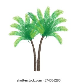 Palm Trees on White Background | Holiday Vector Design