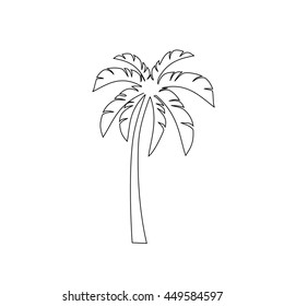 palm trees outline vector