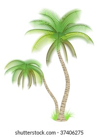 Palmeras sobre blanco