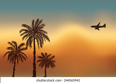 Palm trees and a plane against the sky. Sunset in Goa.